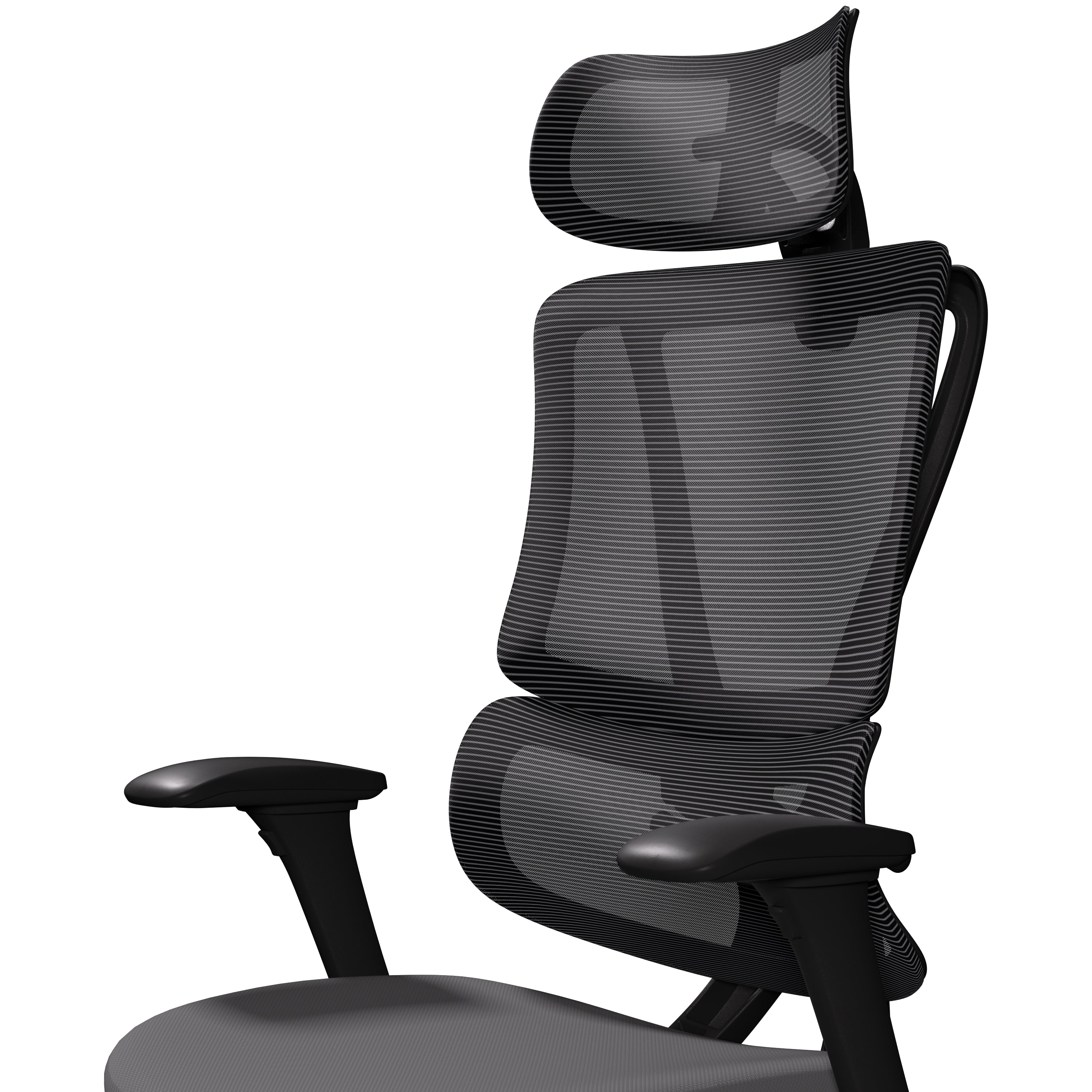 ErgoPrime Elite