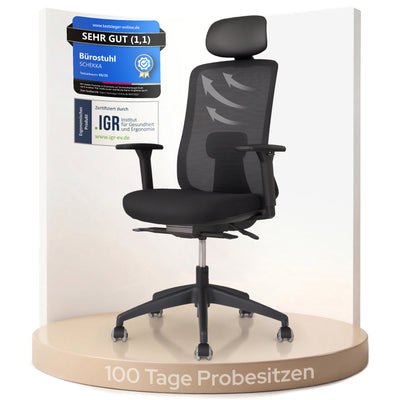 ErgoPrime Pro