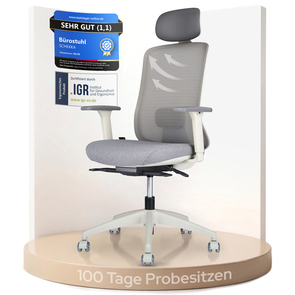 ErgoPrime Pro