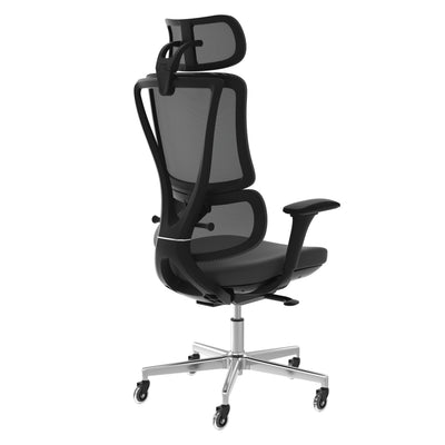 ErgoPrime Elite