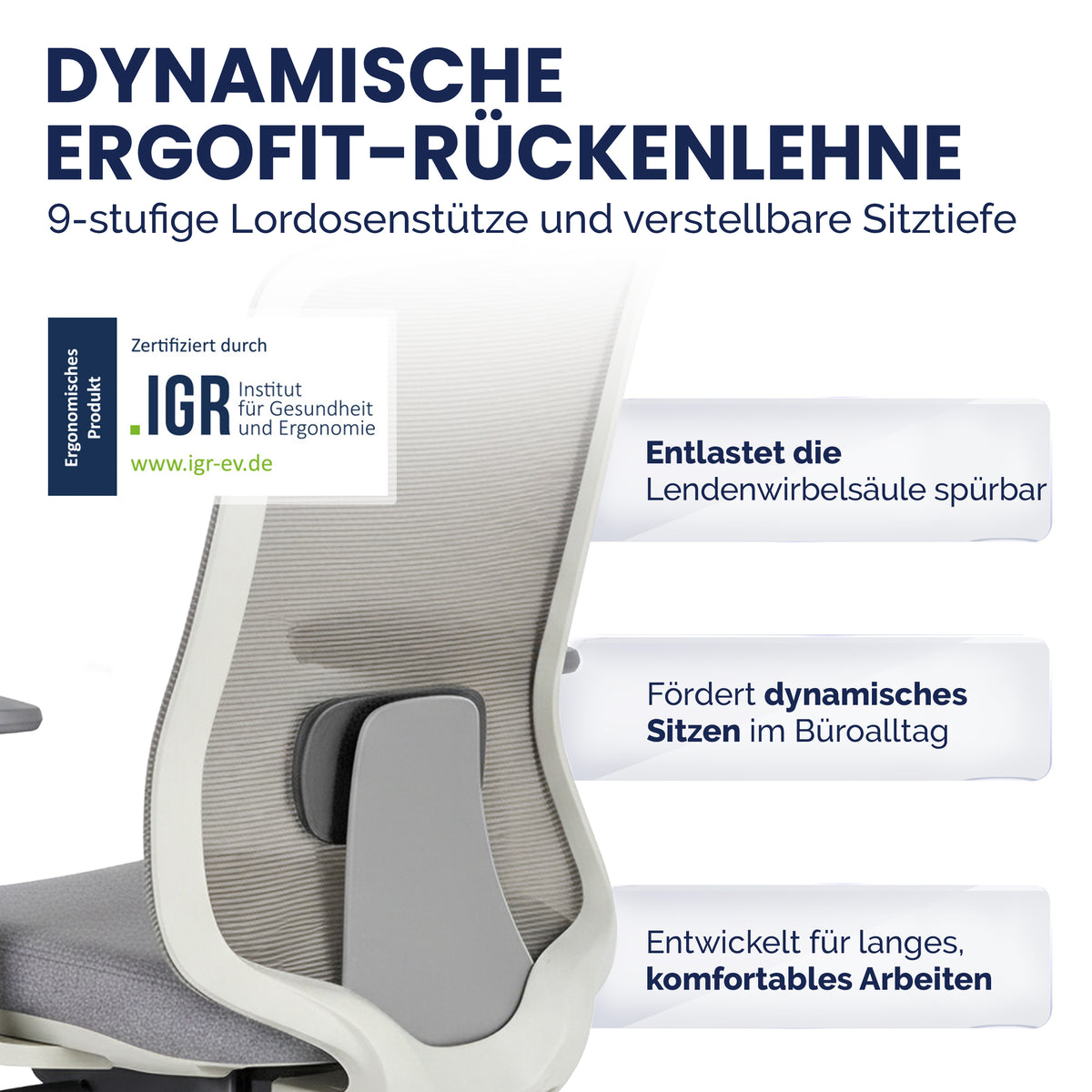 ErgoPrime Pro